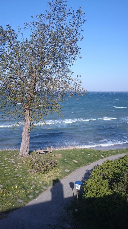 Strandappartement Steinberghaff "Zur Birk" Mit Meerblick Steinberg  Екстер'єр фото